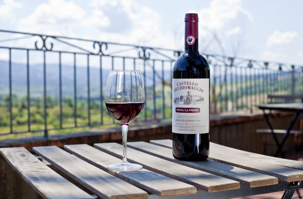Castello Vicchiomaggio Villa Greve in Chianti Luaran gambar
